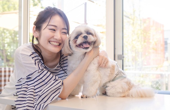 犬や猫の見学をブリーダーとして承ります